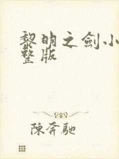 黎明之剑小说完整版