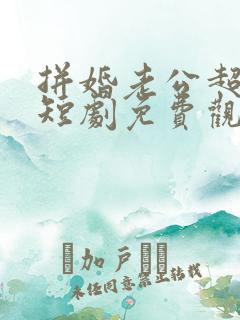 拼婚老公超能力短剧免费观看全集