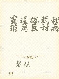 霸道总裁甜宠文推荐巨甜无虐