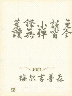 叶锋小说免费阅读无弹窗全文