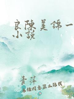 良陈美锦一样的小说