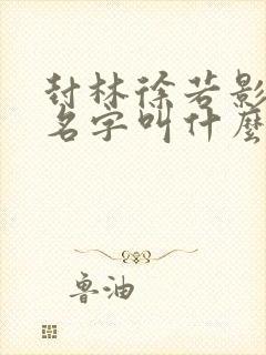 封林徐若影小说名字叫什么