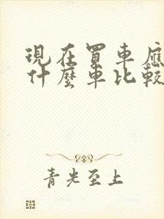 现在买车应该买什么车比较好三四十万左右