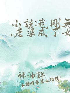 小说:我刚无敌,老婆成了女帝