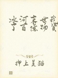 冰河末世我囤积了百亿物资吧