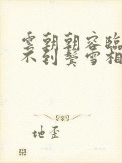 云朝朝容临渊等不到鬓雪相拥