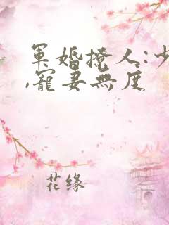 军婚撩人:少将,宠妻无度