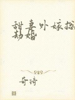 甜妻外嫁总裁要劫婚