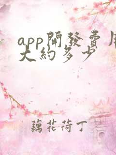 app开发费用大约多少