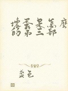 坏蛋是怎么炼成的第三部