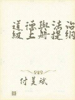 道德与法治九年级上册提纲