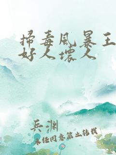 扫毒风暴王奇是好人坏人