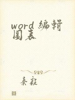 word 编辑图表