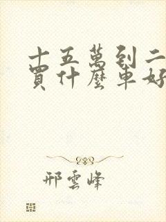 十五万到二十万买什么车好