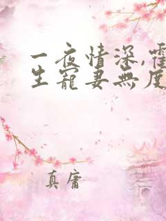 一夜情深,霍先生宠妻无度全集