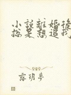 小说离婚后前夫总是想追我免费读