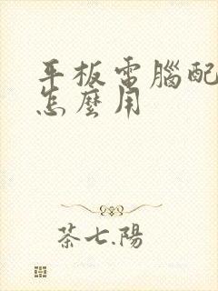 平板电脑配的笔怎么用