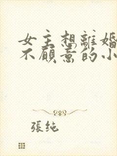 女主想离婚男主不愿意的小说