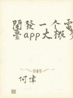 开发一个电商平台app大概多少钱