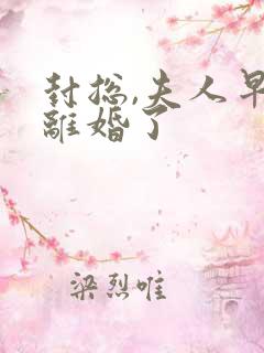 封总,夫人早想离婚了