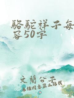 骆驼祥子每章内容50字