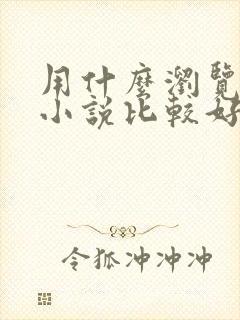 用什么浏览器看小说比较好