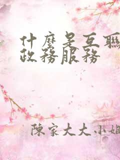 什么是互联网+政务服务