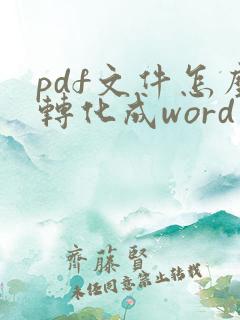 pdf文件怎么转化成word文档