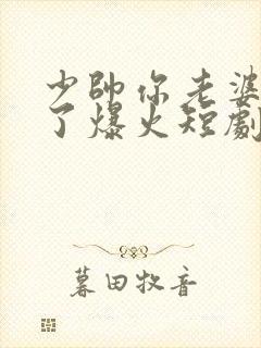 少帅你老婆又跑了爆火短剧