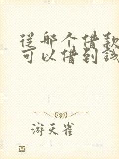 从哪个借款平台可以借到钱