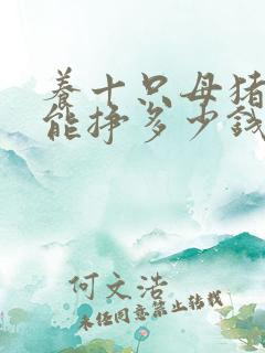 养十只母猪一年能挣多少钱