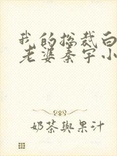 我的总裁白富美老婆秦宇小说版免费