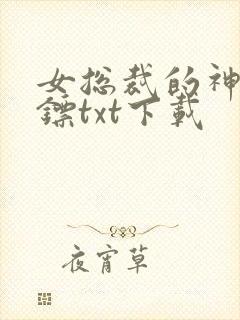 女总裁的神级保镖txt下载