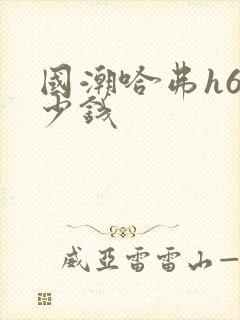 国潮哈弗h6多少钱