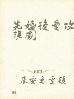 先婚后爱攻略电视剧