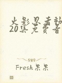 火影忍者动漫720集免费看