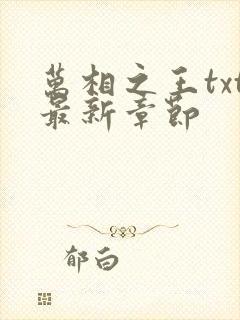 万相之王txt最新章节