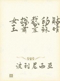 女总裁的贴身兵王萧晨苏晴