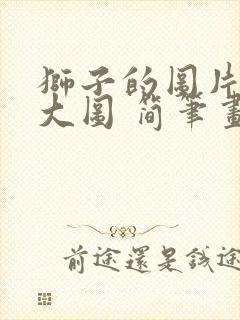 狮子的图片大全大图 简笔画