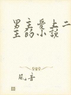 男主爱上二婚女主的小说