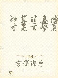 神算萌妻傅太太才是玄学真大佬听书