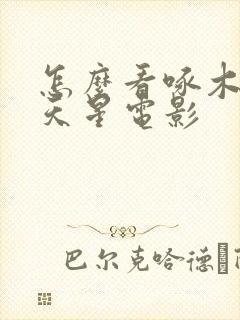 怎么看啄木鸟满天星电影