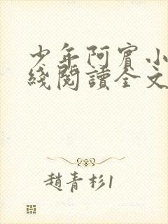 少年阿宾小说在线阅读全文