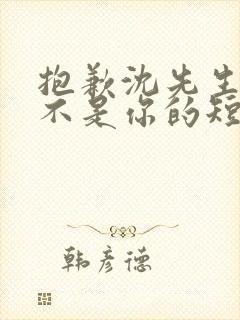 抱歉沈先生孩子不是你的短剧在线免费观看