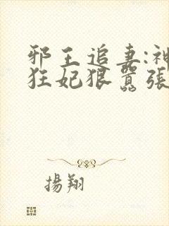 邪王追妻:神医狂妃狠嚣张小说