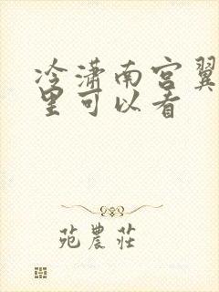冷潇南宫翼天那里可以看