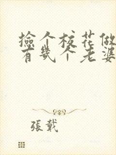 捡个校花做老婆有几个老婆