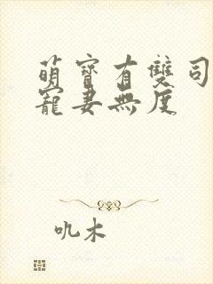 萌宝有双司先生宠妻无度