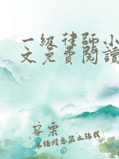 一级律师小说全文免费阅读无弹窗