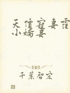 天价宠妻霍总的小娇妻